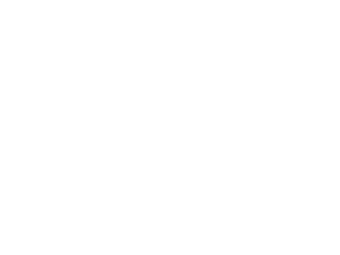 SSR Holdings LLC Logo